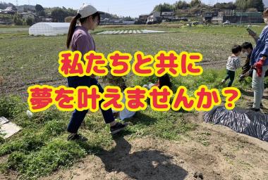 新メンバーを募集します!